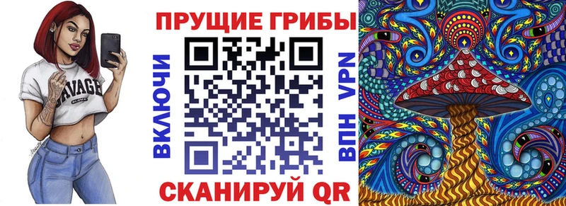 как найти закладки  Оса  Псилоцибиновые грибы мицелий 